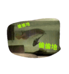 Arowana,stingray,turtles（個別スタンプ：33）