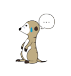 Happy MeerKats can be the best of Pal！（個別スタンプ：1）