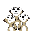Happy MeerKats can be the best of Pal！（個別スタンプ：29）