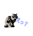 猫のみーにゃ！（個別スタンプ：12）