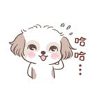 King ＆ Bow 5 (Lovely Shih Tzu)（個別スタンプ：7）