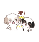 King ＆ Bow 5 (Lovely Shih Tzu)（個別スタンプ：20）