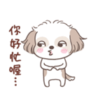 King ＆ Bow 5 (Lovely Shih Tzu)（個別スタンプ：23）