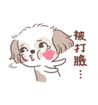 King ＆ Bow 5 (Lovely Shih Tzu)（個別スタンプ：31）