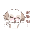 King ＆ Bow 5 (Lovely Shih Tzu)（個別スタンプ：34）