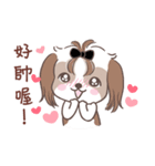 King ＆ Bow 5 (Lovely Shih Tzu)（個別スタンプ：36）