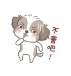 King ＆ Bow 5 (Lovely Shih Tzu)（個別スタンプ：37）