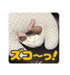 かスみタンプ2（個別スタンプ：17）