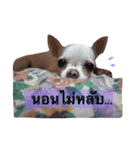 DOG krabb.. DOGS 2（個別スタンプ：28）