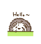 Adorkable hedgehog（個別スタンプ：39）