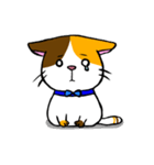 Spotted cat（個別スタンプ：24）