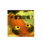 yofish（個別スタンプ：5）