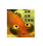 yofish（個別スタンプ：6）