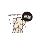 Potato Dog is coming 2（個別スタンプ：19）