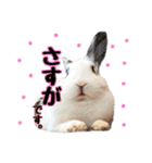 The rabbit lubricated....（個別スタンプ：10）