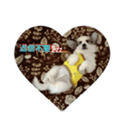 doglove2424（個別スタンプ：15）