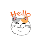 Hello Chubby Cat (English)（個別スタンプ：1）