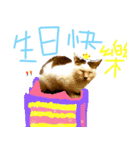 Catsboredinterest（個別スタンプ：2）