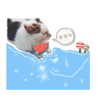 Catsboredinterest（個別スタンプ：6）