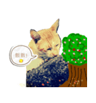 Catsboredinterest（個別スタンプ：8）