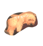 goldendoodle muffin（個別スタンプ：3）