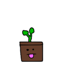 little plant（個別スタンプ：9）