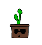 little plant（個別スタンプ：12）