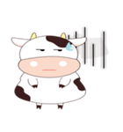 cow cow moo~（個別スタンプ：1）