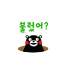 Kumamon ( common words ver. )（個別スタンプ：11）