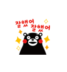 Kumamon ( common words ver. )（個別スタンプ：31）