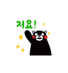 Kumamon ( common words ver. )（個別スタンプ：33）