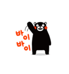 Kumamon ( common words ver. )（個別スタンプ：40）