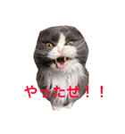 サーニャ（個別スタンプ：3）