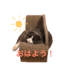 サーニャ（個別スタンプ：4）