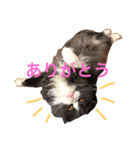 サーニャ（個別スタンプ：8）