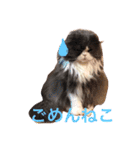 サーニャ（個別スタンプ：10）