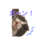 サーニャ（個別スタンプ：11）