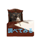 サーニャ（個別スタンプ：14）