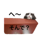 サーニャ（個別スタンプ：17）