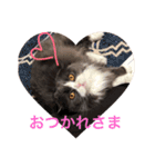 サーニャ（個別スタンプ：19）