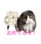 サーニャ（個別スタンプ：22）