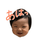 SUN SON STICKER  3（個別スタンプ：1）