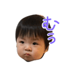 SUN SON STICKER  3（個別スタンプ：11）