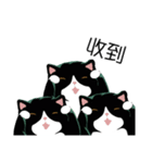 A cat named Hairball（個別スタンプ：4）