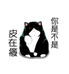 A cat named Hairball（個別スタンプ：6）