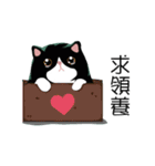 A cat named Hairball（個別スタンプ：9）