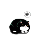 A cat named Hairball（個別スタンプ：16）