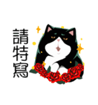 A cat named Hairball（個別スタンプ：18）