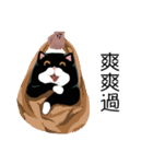 A cat named Hairball（個別スタンプ：19）