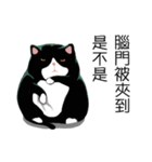 A cat named Hairball（個別スタンプ：23）